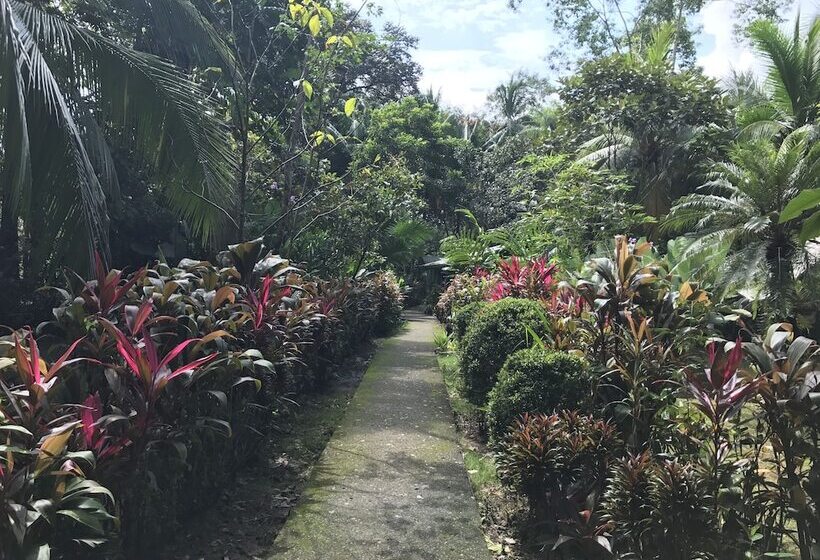 Отель Casa Manglar Villa