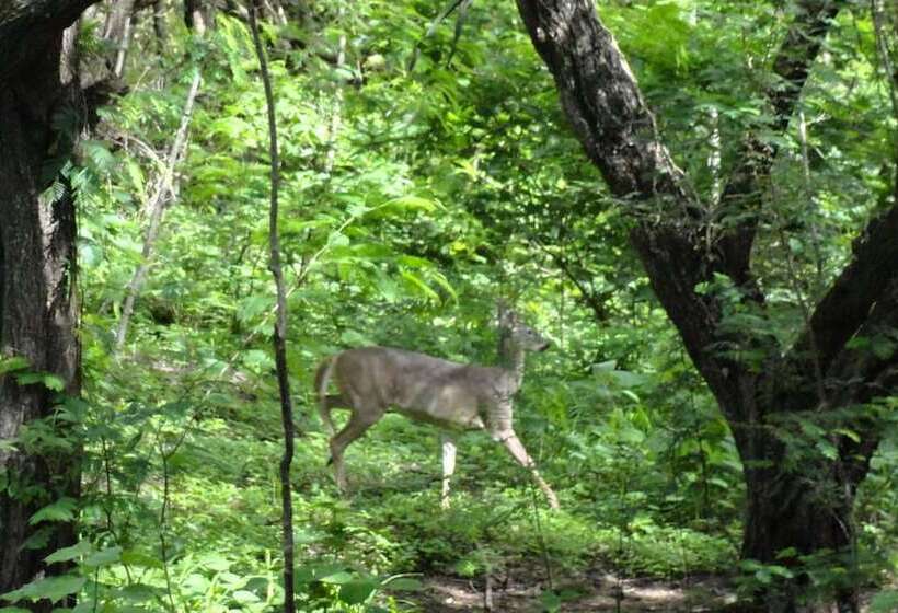 בית מלון כפרי Colono Beach