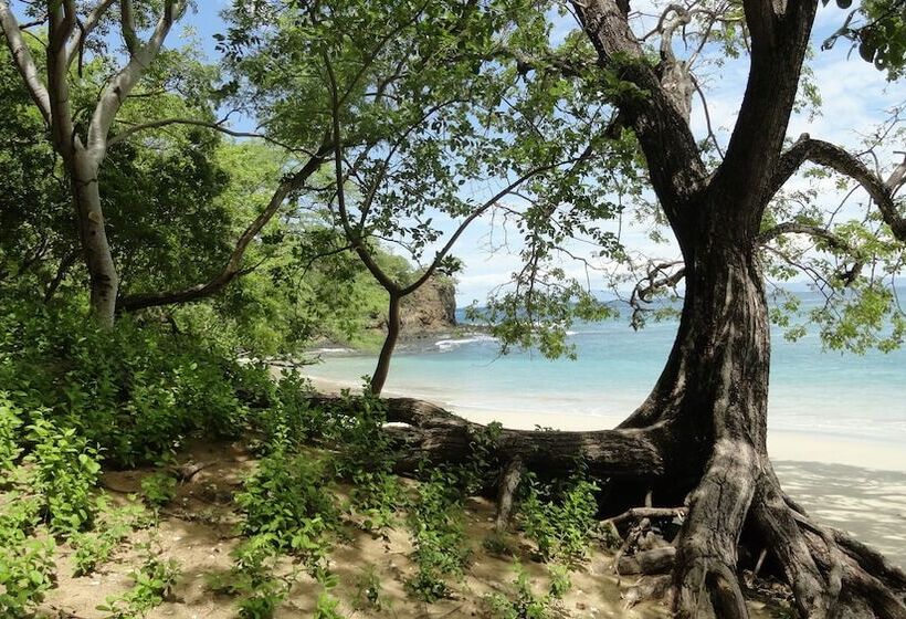 בית מלון כפרי Colono Beach