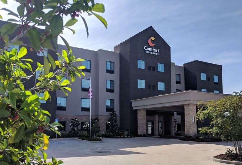 فندق Comfort Inn & Suites