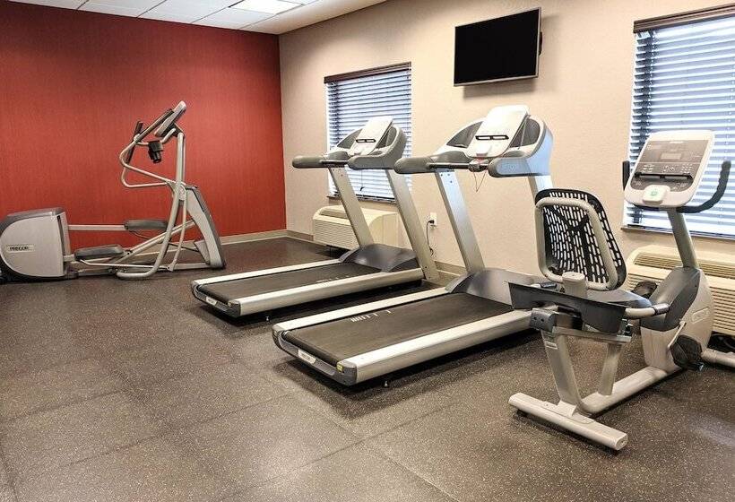 فندق Comfort Inn & Suites