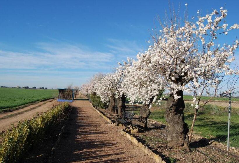 هتل El Cortijo De Daimiel