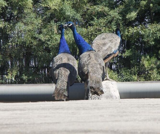هتل El Cortijo De Daimiel
