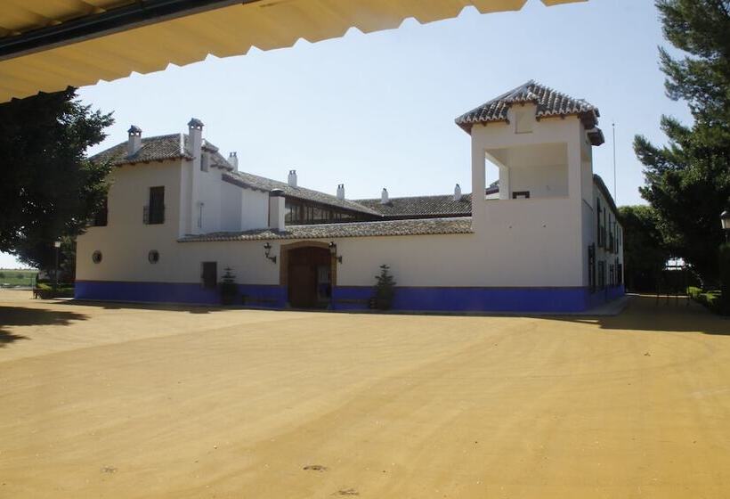 هتل El Cortijo De Daimiel