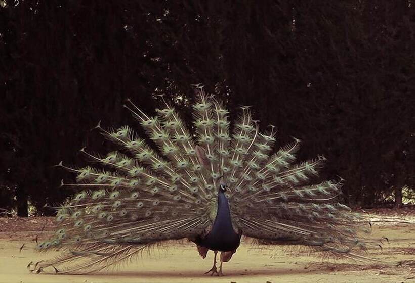 هتل El Cortijo De Daimiel