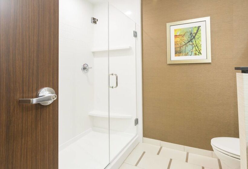 酒店 Fairfield Inn & Suites By Marriott Jamestown