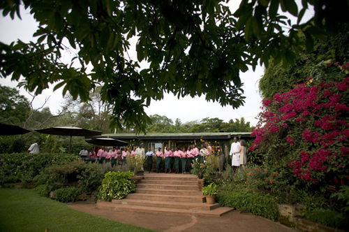 فندق Gibb S Farm