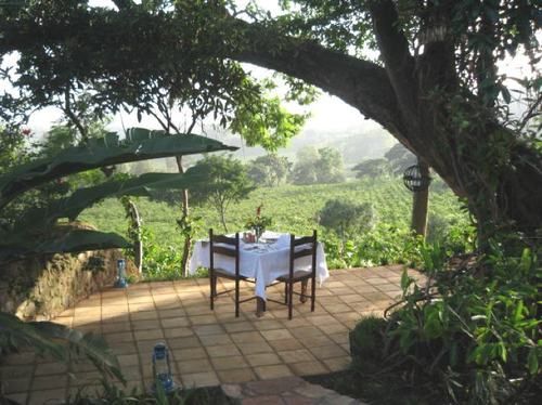 فندق Gibb S Farm