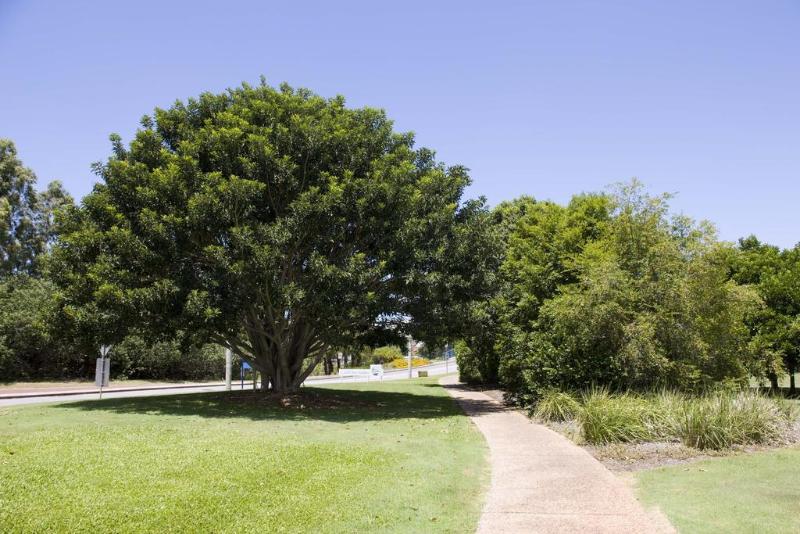 Gladstone Downtown Central Apartment Hotel Official