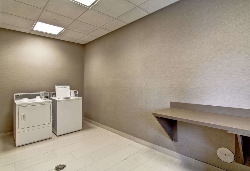 בית מלון כפרי Hampton Inn & Suites Detroit/troy