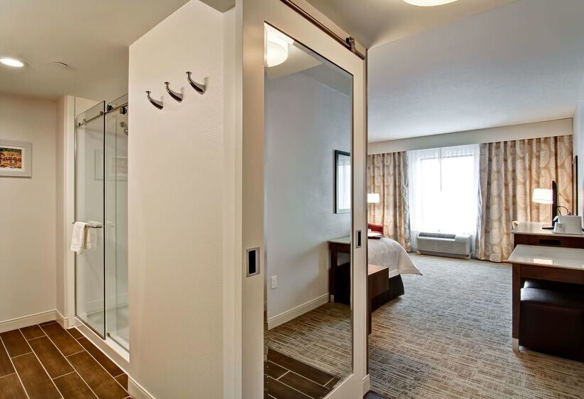 בית מלון כפרי Hampton Inn & Suites Detroit/troy