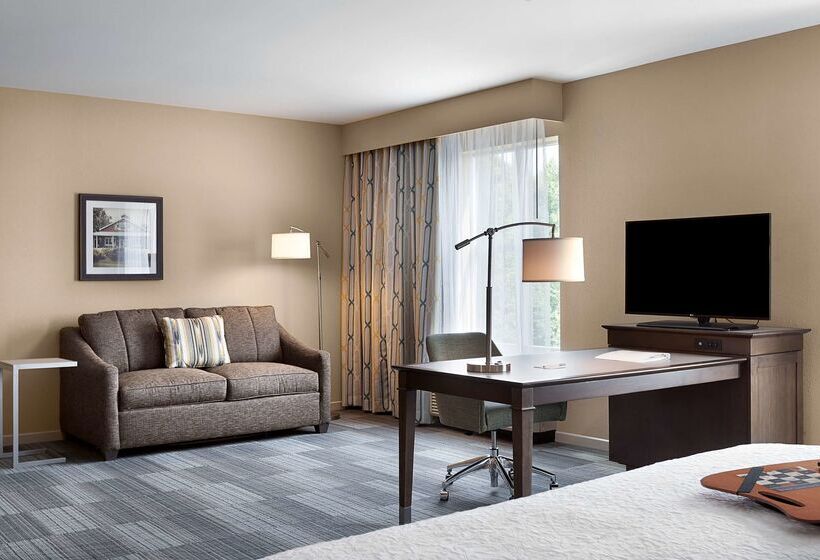 فندق Hampton Inn & Suites Fort Mill