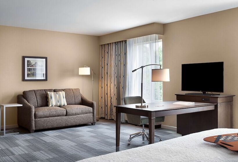 فندق Hampton Inn & Suites Fort Mill