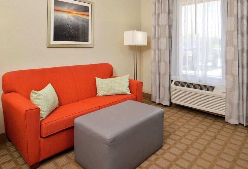 호텔 Hampton Inn & Suites Hutto Austin