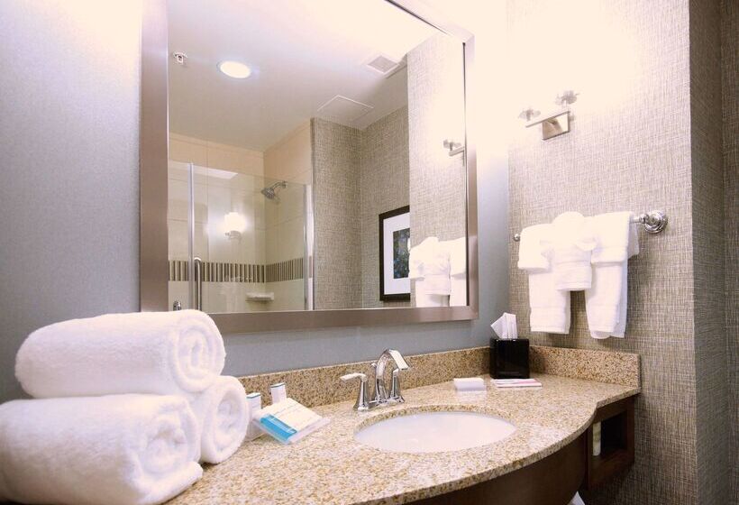 فندق Hilton Garden Inn Hickory