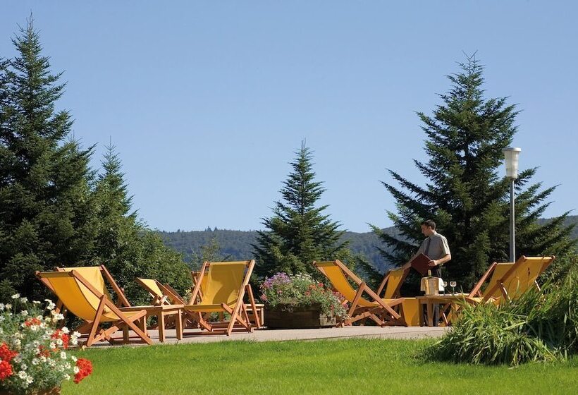 فندق Hôtel De L Ermitage