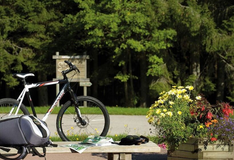 فندق Hôtel De L Ermitage