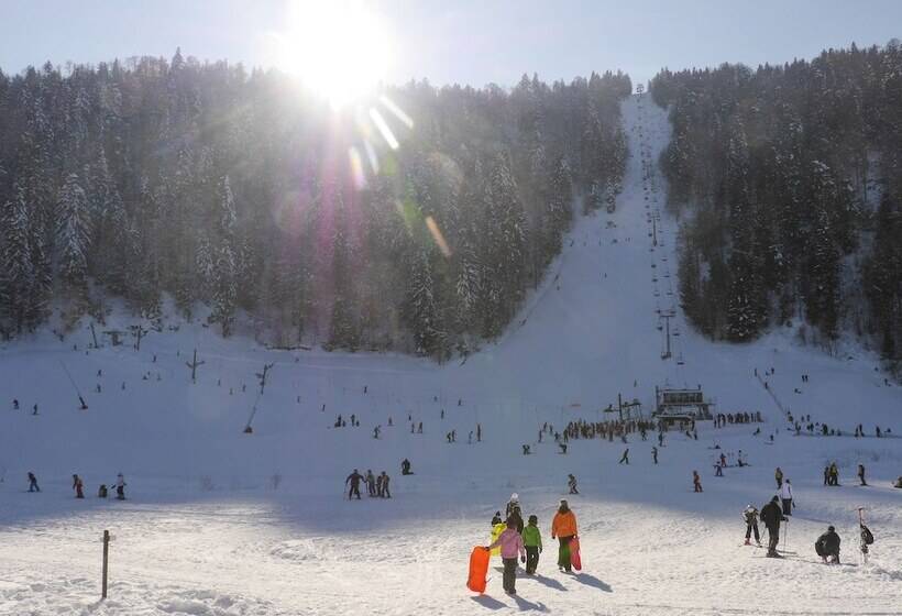 فندق Hôtel De L Ermitage