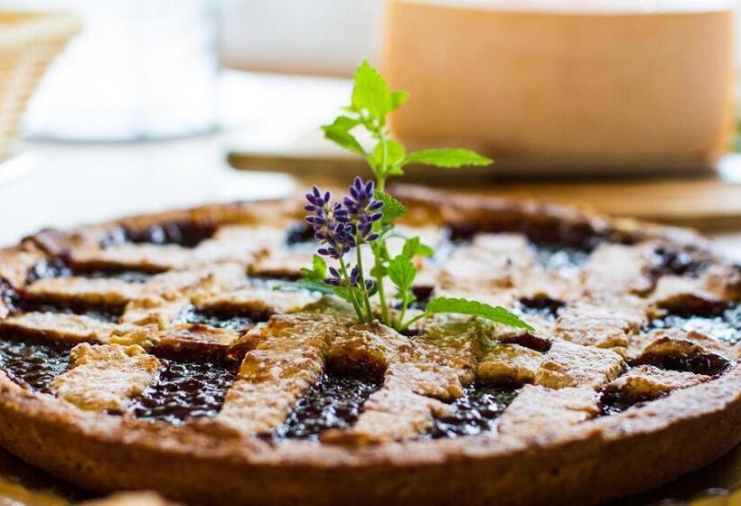 Отель Hôtel Elite