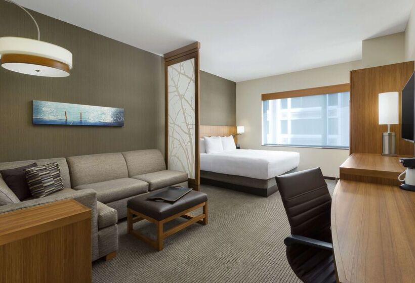 هتل Hyatt Place Chicago/downtown   The Loop
