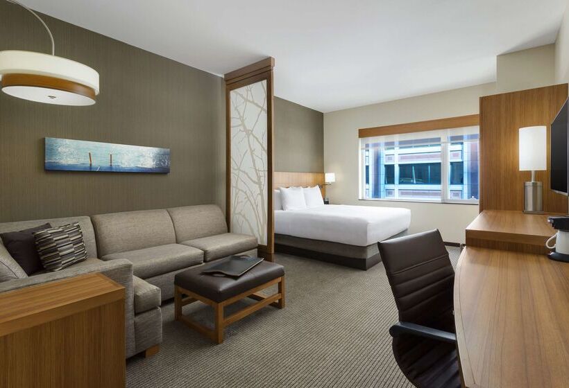 هتل Hyatt Place Chicago/downtown   The Loop
