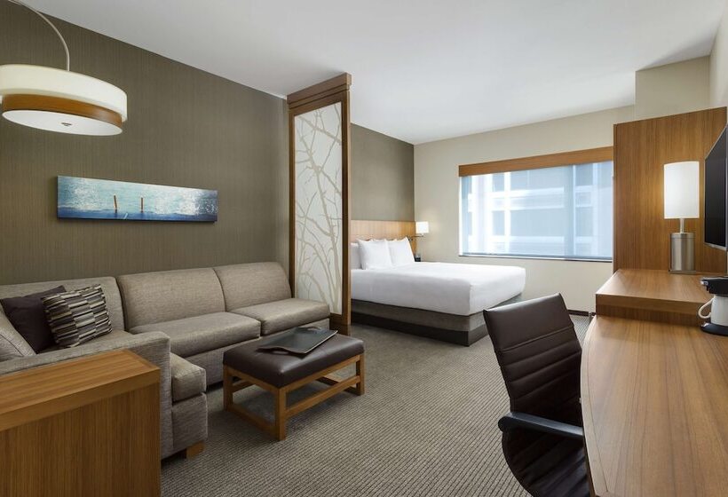 هتل Hyatt Place Chicago/downtown   The Loop