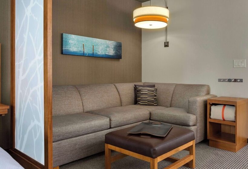 هتل Hyatt Place Chicago/downtown   The Loop