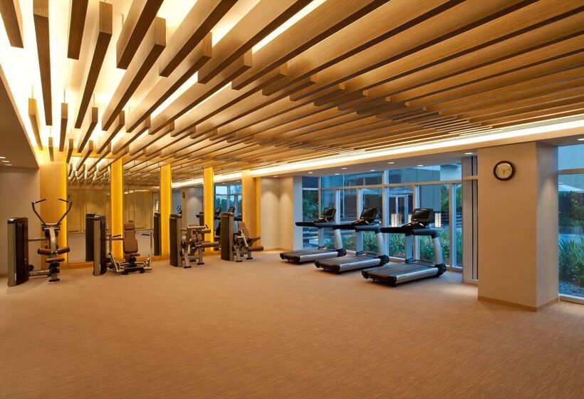 Отель Hyatt Regency Ahmedabad