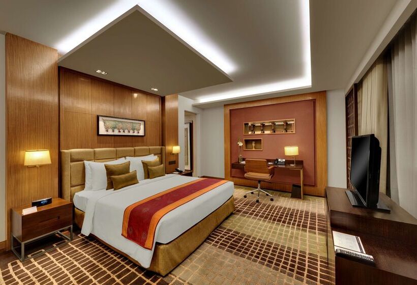 Отель Hyatt Regency Ahmedabad