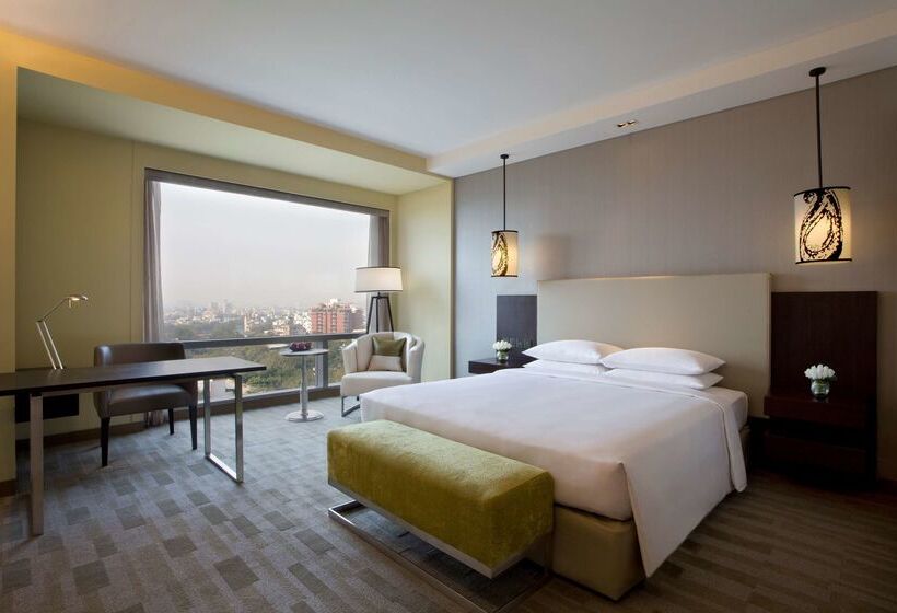 Отель Hyatt Regency Ahmedabad