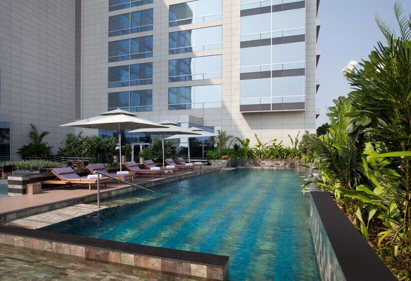 Отель Hyatt Regency Ahmedabad