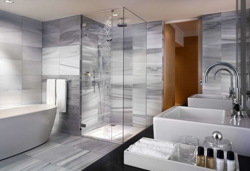 هتل Hyatt Regency Dushanbe