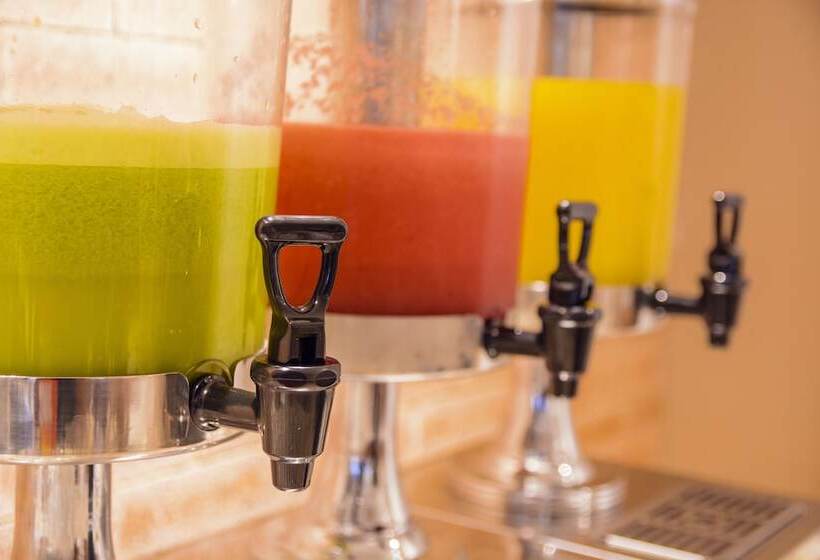 ホテル Intercity Salvador Aeroporto