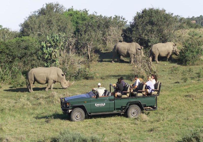 酒店 Kariega Game Reserve - Main Lodge