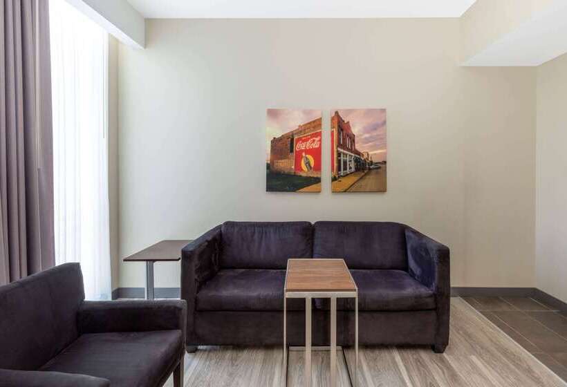 בית מלון כפרי La Quinta Inn & Suites By Wyndham Tulsa Downtown   Route 66