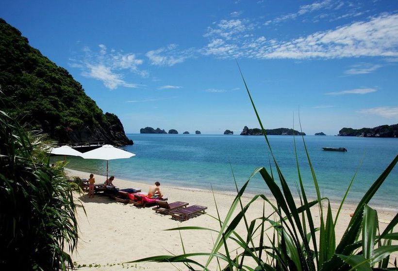 هتل Monkey Island Resort