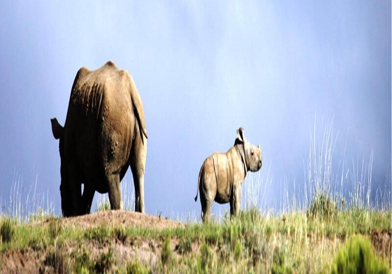 酒店 Mount Camdeboo Game Reserve