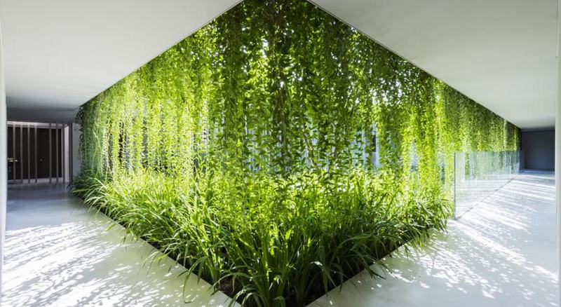 هتل Naman Retreat