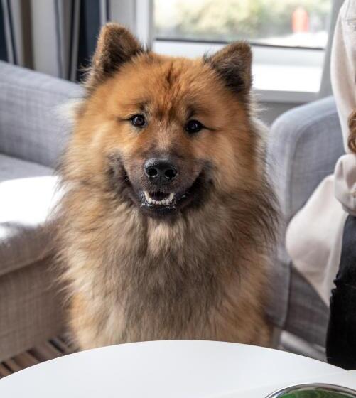 בית מלון כפרי Oceanside Lifestyle