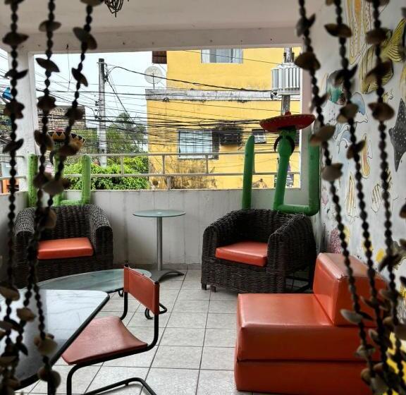 Отель Pousada Vida Mansa