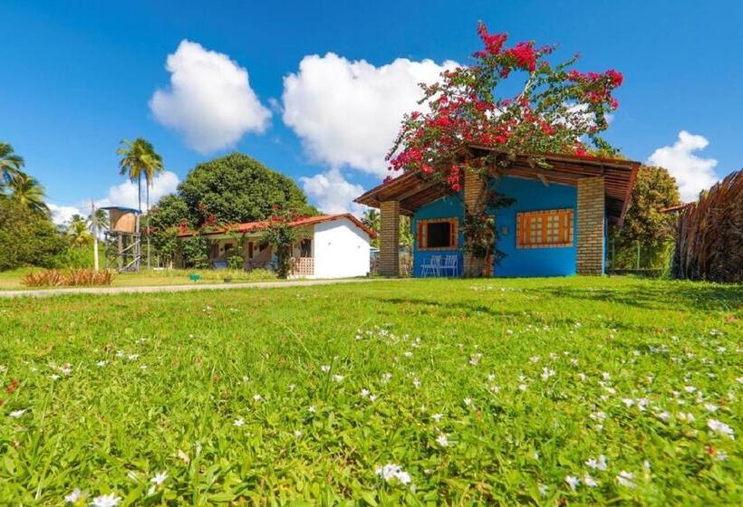 酒店 Pousada Xalés De Maracaípe