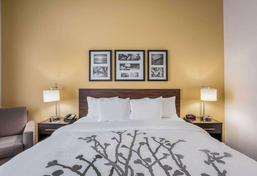 בית מלון כפרי Sleep Inn & Suites Hannibal
