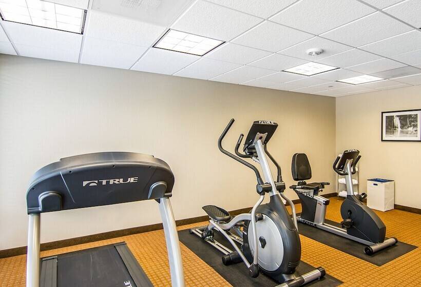 בית מלון כפרי Sleep Inn Lufkin