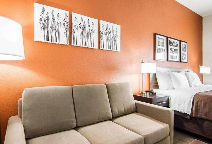 בית מלון כפרי Sleep Inn Lufkin