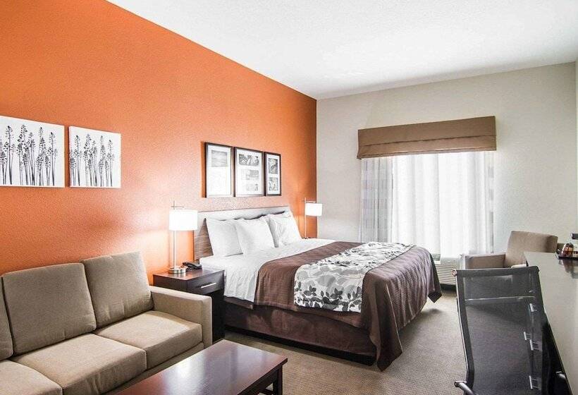 בית מלון כפרי Sleep Inn Lufkin