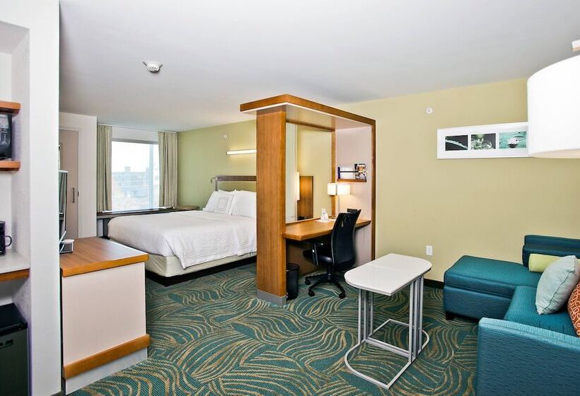 酒店 Springhill Suites By Marriott Mobile West