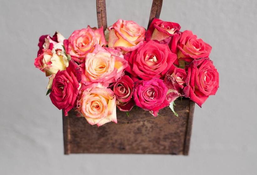 호텔 Summerfields Rose Retreat And Spa