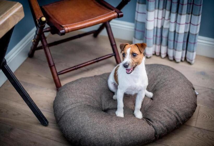 Отель Crown And Garter