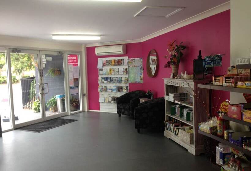 בית מלון כפרי Toowoon Bay Holiday Park