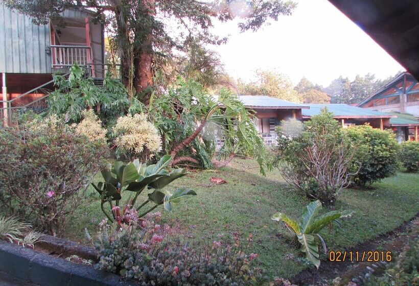 Отель Villa Verde